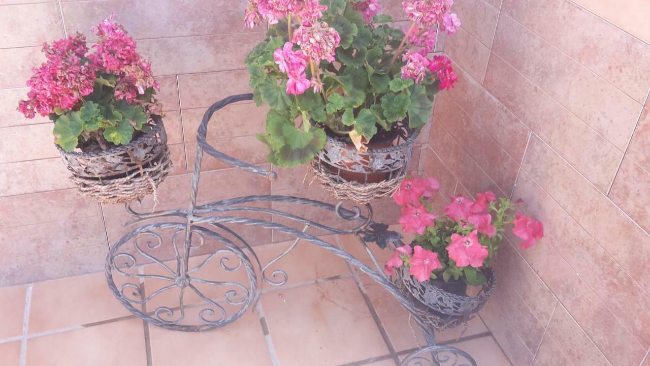 Apartament Bravo 24 Fuengirola Zewnętrze zdjęcie